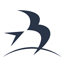 Banyule City Council