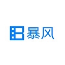 Baofeng logo