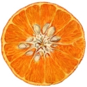 Baragricole logo