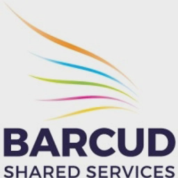 Barcud Shared Services logo
