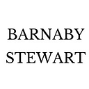 Barnaby Stewart Senior Executive Search Ltd logo
