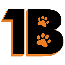Barnegat High School logo