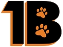 Barnegat Township School District logo