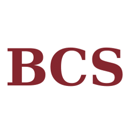 barnescohenandsullivan.com