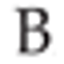 Barnett Agency Inc logo