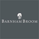 Barnham Broom logo