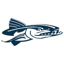 Barracuda Staffing logo