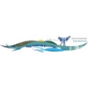 Barrie & Community Family Health Team logo