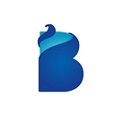 Barrier Networks Logo