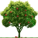 Barrowmore Limited logo