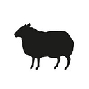 Bbh Global logo