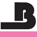 Basement Systems, Inc. logo