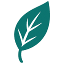 Basil Home Health logo