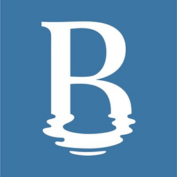 Basin - Disney Springs logo
