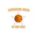 Basketball Stars logo