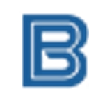 basonlight.com logo