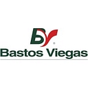 bastosviegas.com icon