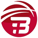 Batfast Cricket logo