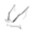 Bat Conservation and Management, Inc.