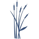 Bay Radiology Llc logo