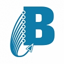 Bay Computer Associates logo