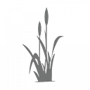 Bay Creek Resort & Club logo
