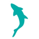 Bay.Org logo