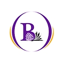 Bayfield School District logo