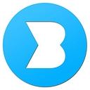 Bayforce logo