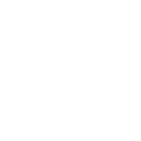 BAY AREA COMMUNITY FOUNDATION logo