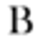 Bayside Solicitors logo
