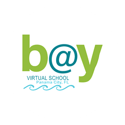 BAY VIRTUAL FRANCHISE logo