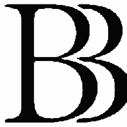 BB Aesthetic logo