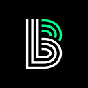 BIG BROTHERS BIG SISTERS LONE STAR logo