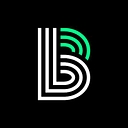 Big Brothers Big Sisters Lone Star logo