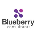 Blueberry Consultants Ltd logo