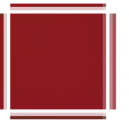 BHAVYA CHAUDHARY AND ASSOCIATES logo