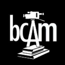 BROOKLYN COMMUNITY ARTS AND MEDIA HIGH SCHOOL (BCAM) logo