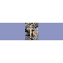Barracuda Networks Inc logo