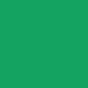 Bronx Community Health Network (Bchn) logo