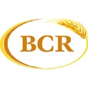 Bcr Companies logo