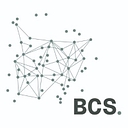 Business Critical Solutions logo