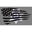 Berkshire County Sheriff's Office logo
