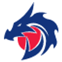 Blue Dragon logo