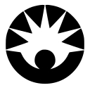Becton Dickinson Medical Devices logo