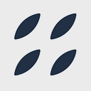 BDS Analytics, Inc. logo