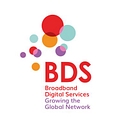Bds Global logo