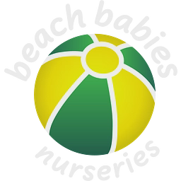 Beach Babies Ltd logo