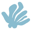 Beach Haus Coffee logo