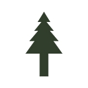 Beach Timber Company logo